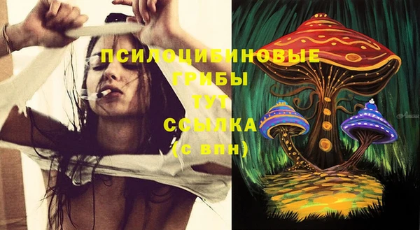 хмурый Алексин
